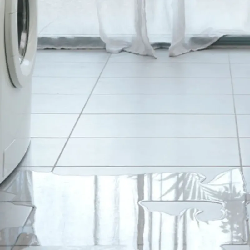 Appliance Leak Cleanup in Centralia, IL