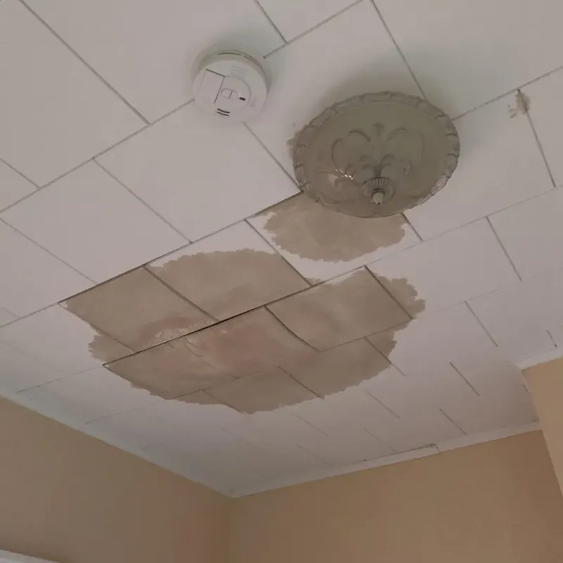 Ceiling Water Damage Repair in Centralia, IL