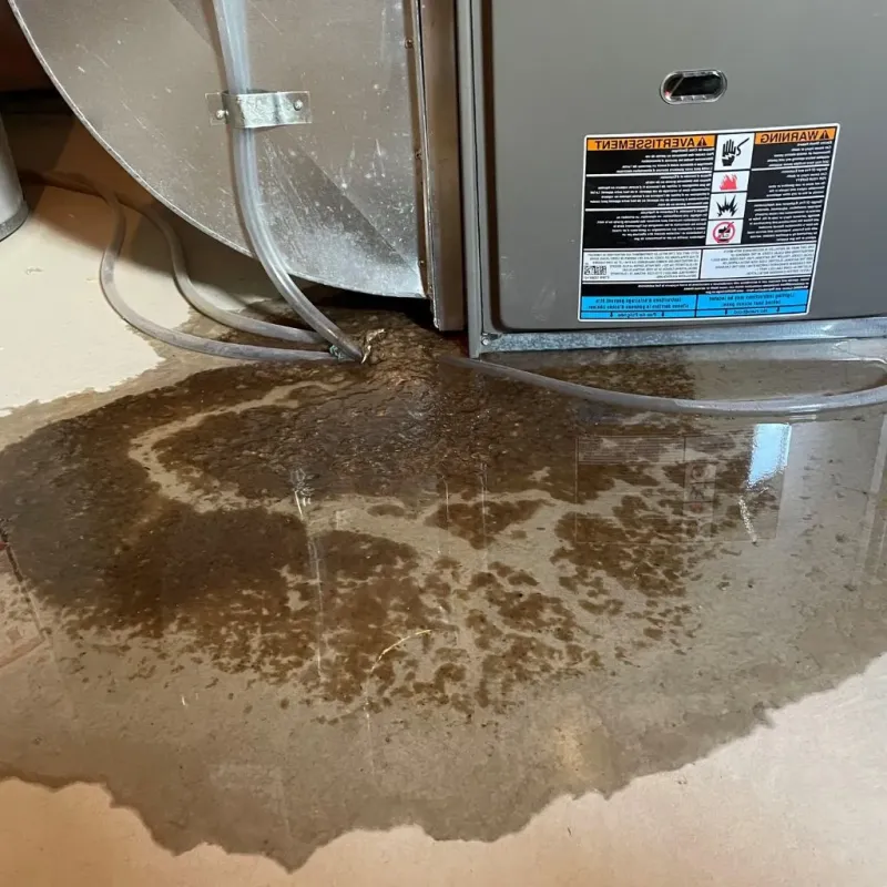 Pipe Burst and Leak Restoration in Centralia, IL