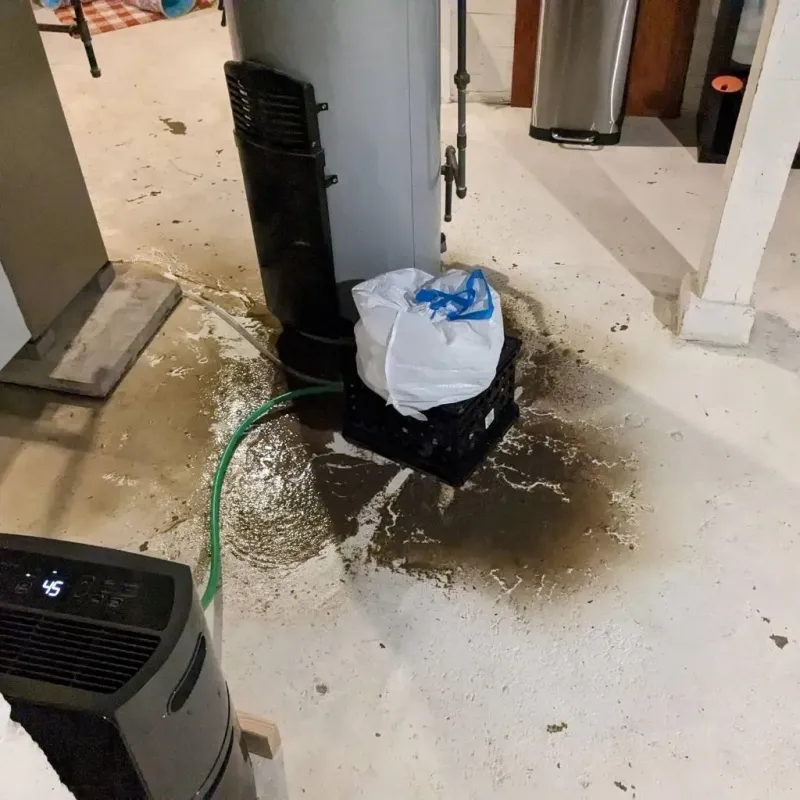 Sewage Backup Cleanup Service in Centralia, IL